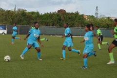 1516-BSSFL-02