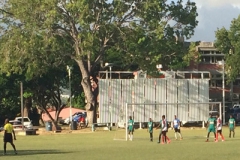 1516-BSSFL-31