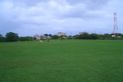 cimg7954