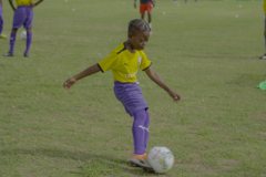 DSC00178