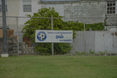 DSC00184