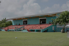 DSC00195