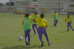 DSC00240