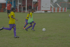 DSC00374