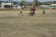 alleyne-6
