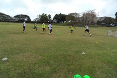 bcc-3