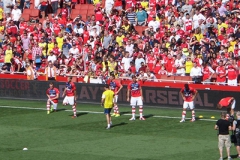 SAM_0193