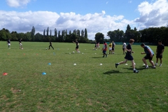 SAM_0241
