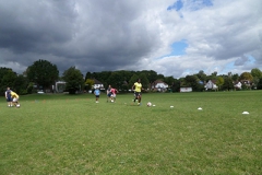 SAM_0255